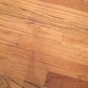 Meet your Posher, Ralph